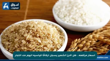 أسعار مرتفعة.. طن الأرز الشعير يسجل أرقامًا قياسية اليوم عند التجار